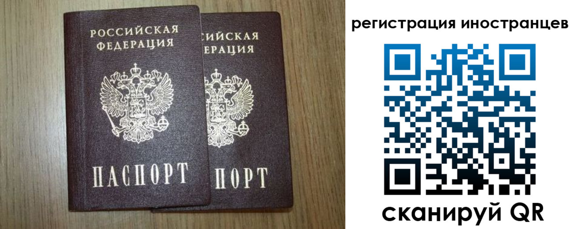 прописка для школы в Тереке
